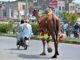 APP13-27
FAISALABAD: July 27 - Motorcyclist leading sacrificial animal camel to their destination on Millat Road. APP photo by Tasawar Abbas