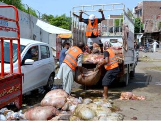 APP23-02
FAISALABAD: August 02 - Faisalabad Waste Management Company workers loading the remains of sacrificial animals into a vehicle on the 2nd day of Eidul Azha. APP photo by Tasawar Abbas